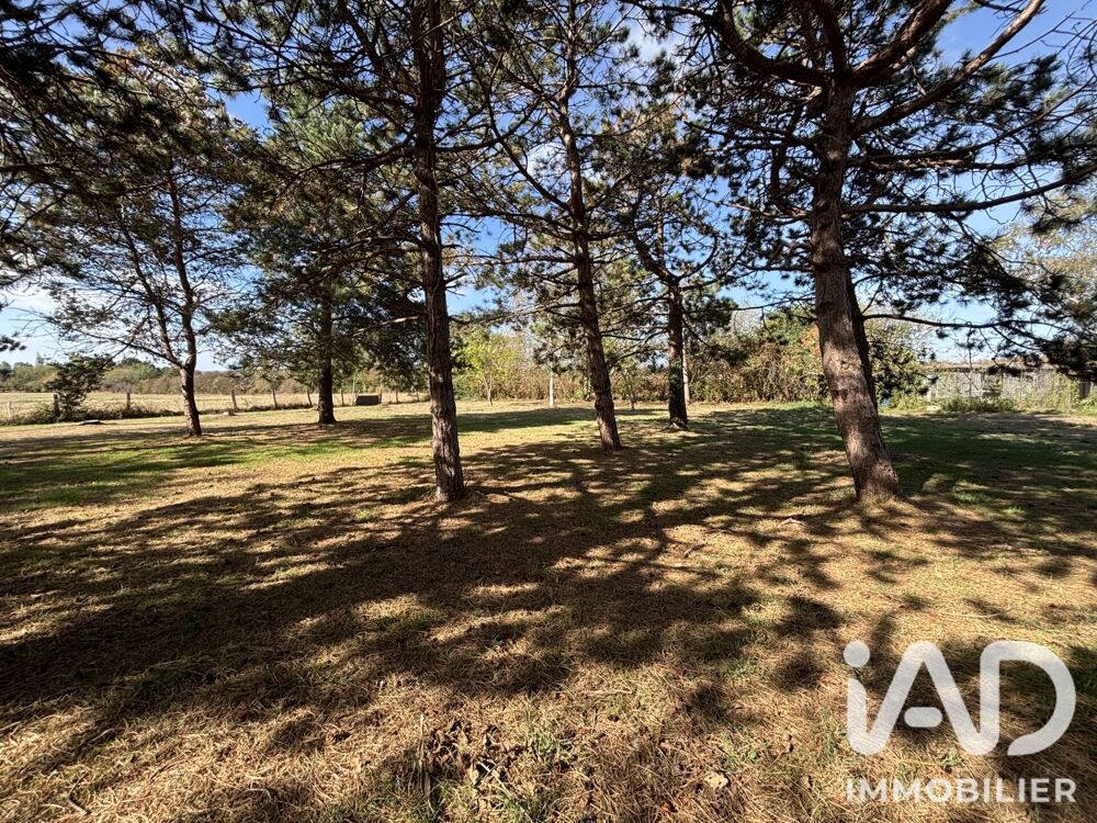 Vente Terrain Vente Terrain 1 361 m&sup2; Moisdon-la-rivière