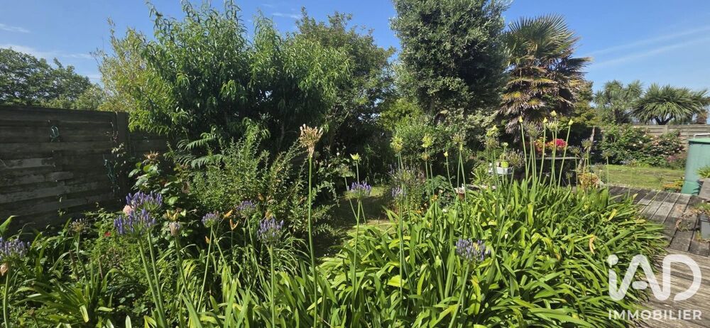 Vente Maison Vente Maison d'architecte 5 pièces Trégunc