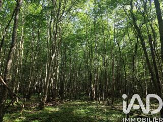  Terrain à vendre 82500 m²