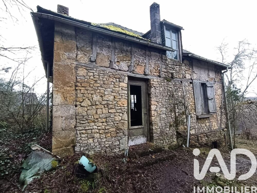Vente Maison Vente Grange 1 pièce Terrasson-lavilledieu
