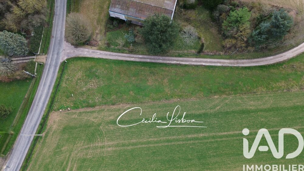 Vente Terrain Vente Terrain à bâtir 2 520 m&sup2; Bazoches-sur-le-betz