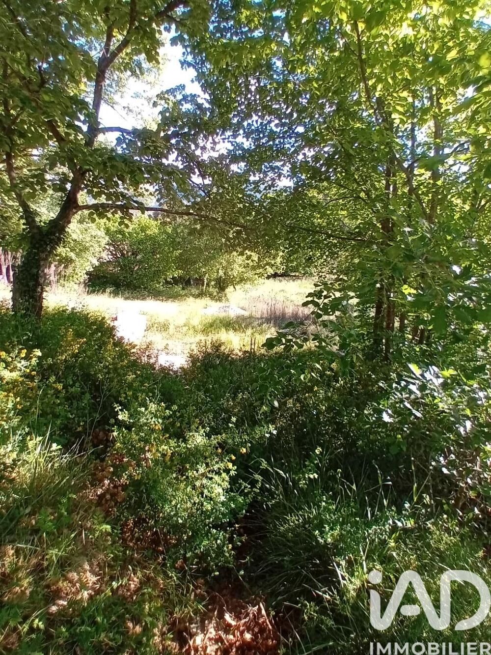 Vente Terrain Vente Terrain à bâtir 3 230 m&sup2; Buis-les-baronnies
