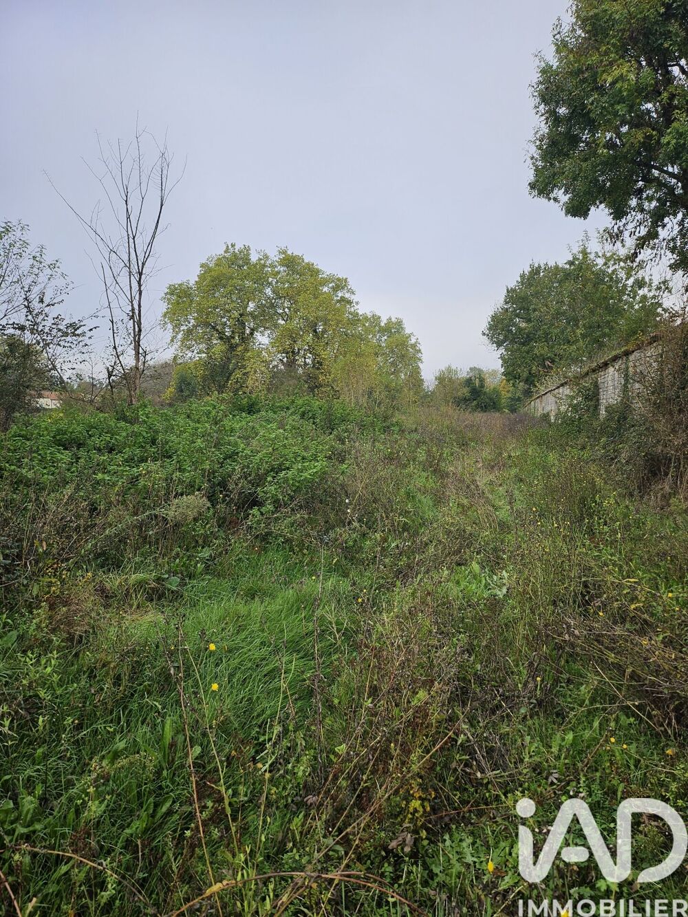 Vente Terrain Vente Terrain à bâtir 23 855 m&sup2; Thénac