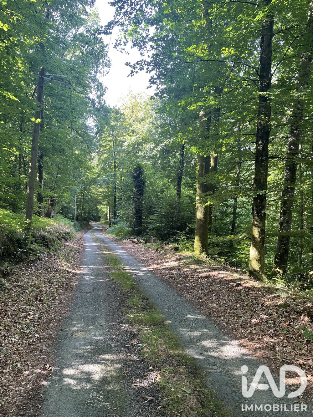Vente Maison Vente Maison de campagne 5 pièces Eymoutiers