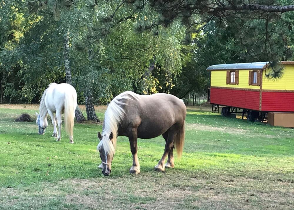  vendre  Maison La Rochelle (17000)