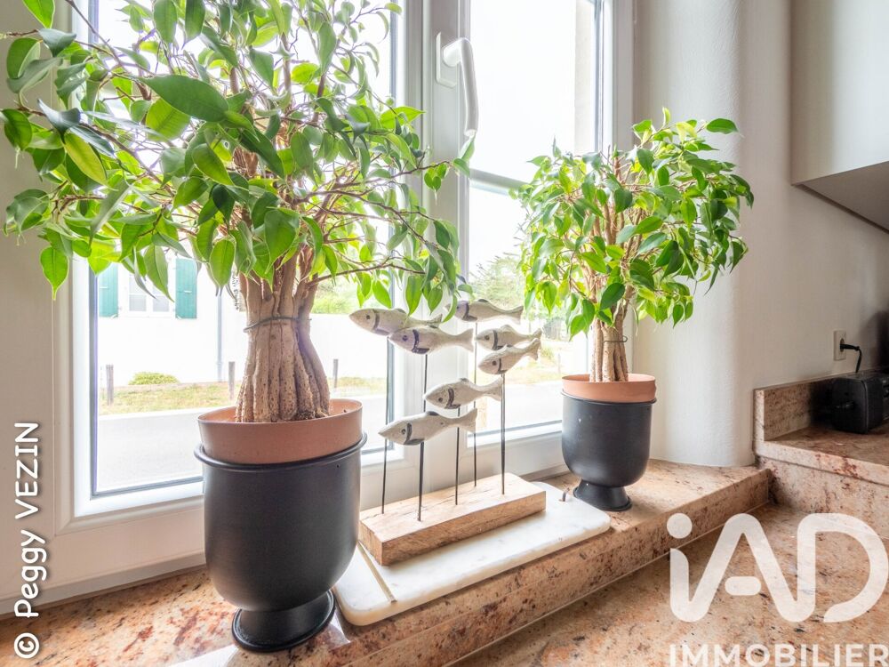 Vente Maison Vente Maison/villa 6 pièces Rivedoux-plage