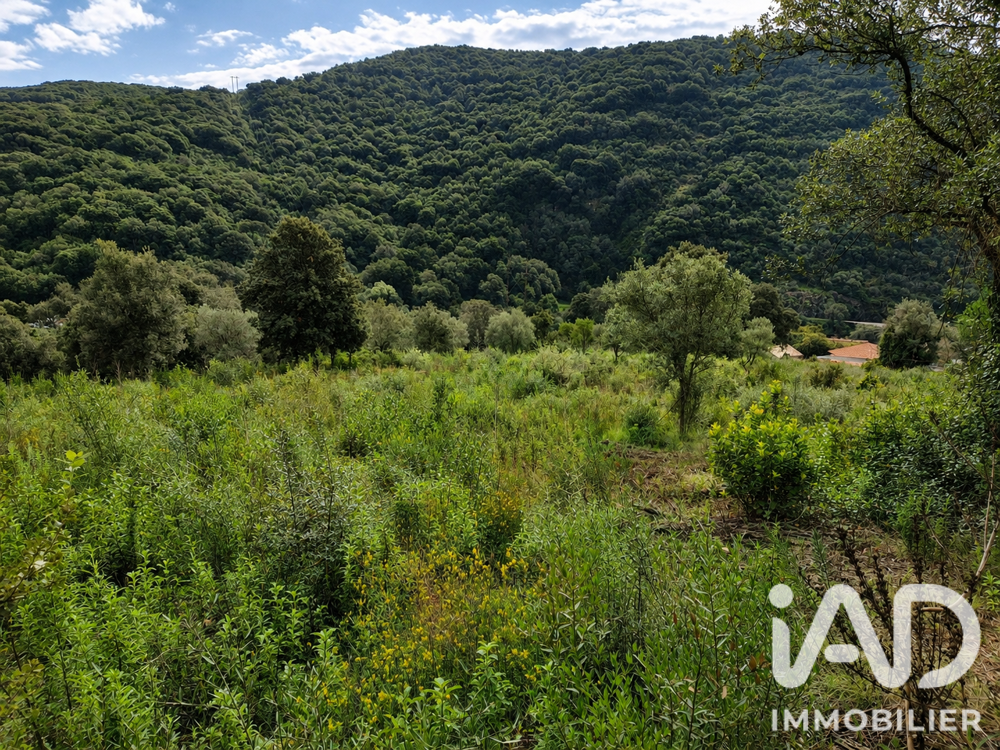 vente Terrain - 14741 m² Ocana (20117)
