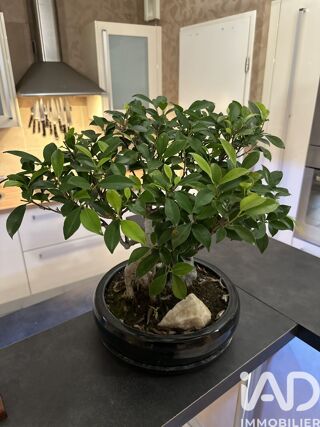  Appartement à vendre 3 pièces 69 m²