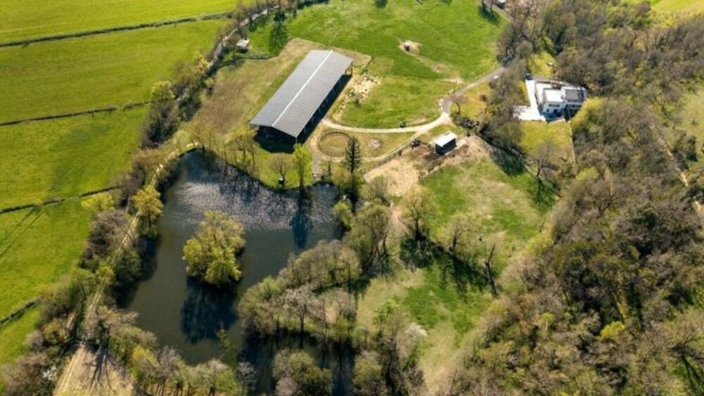 � vendre  Maison Toulouse (31000)