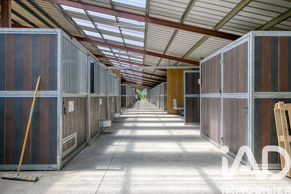 à vendre  Maison Rabastens-de-Bigorre (65140)