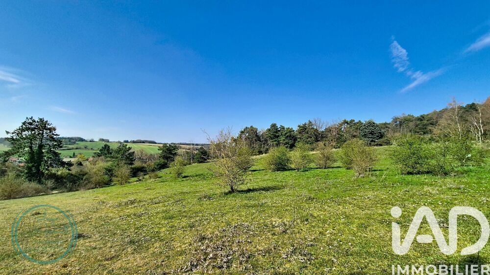 à vendre  Maison Valpuiseaux (91720)
