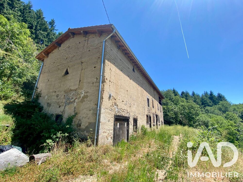 Vente Maison Vente Maison/villa 2 pièces Saint-martin-des-olmes