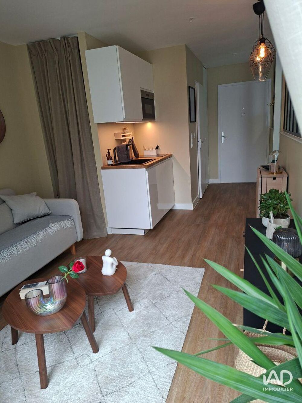 Vente Appartement 1 pièce