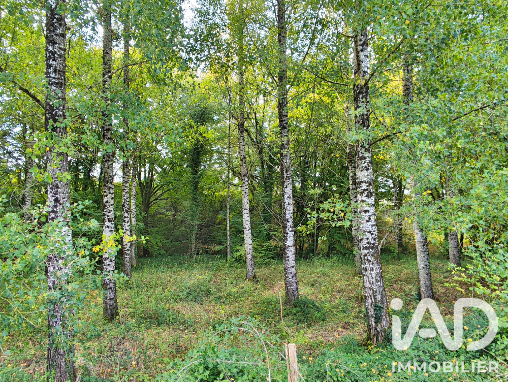 Vente Terrain Vente Terrain 4 545 m&sup2; Porte de benauge