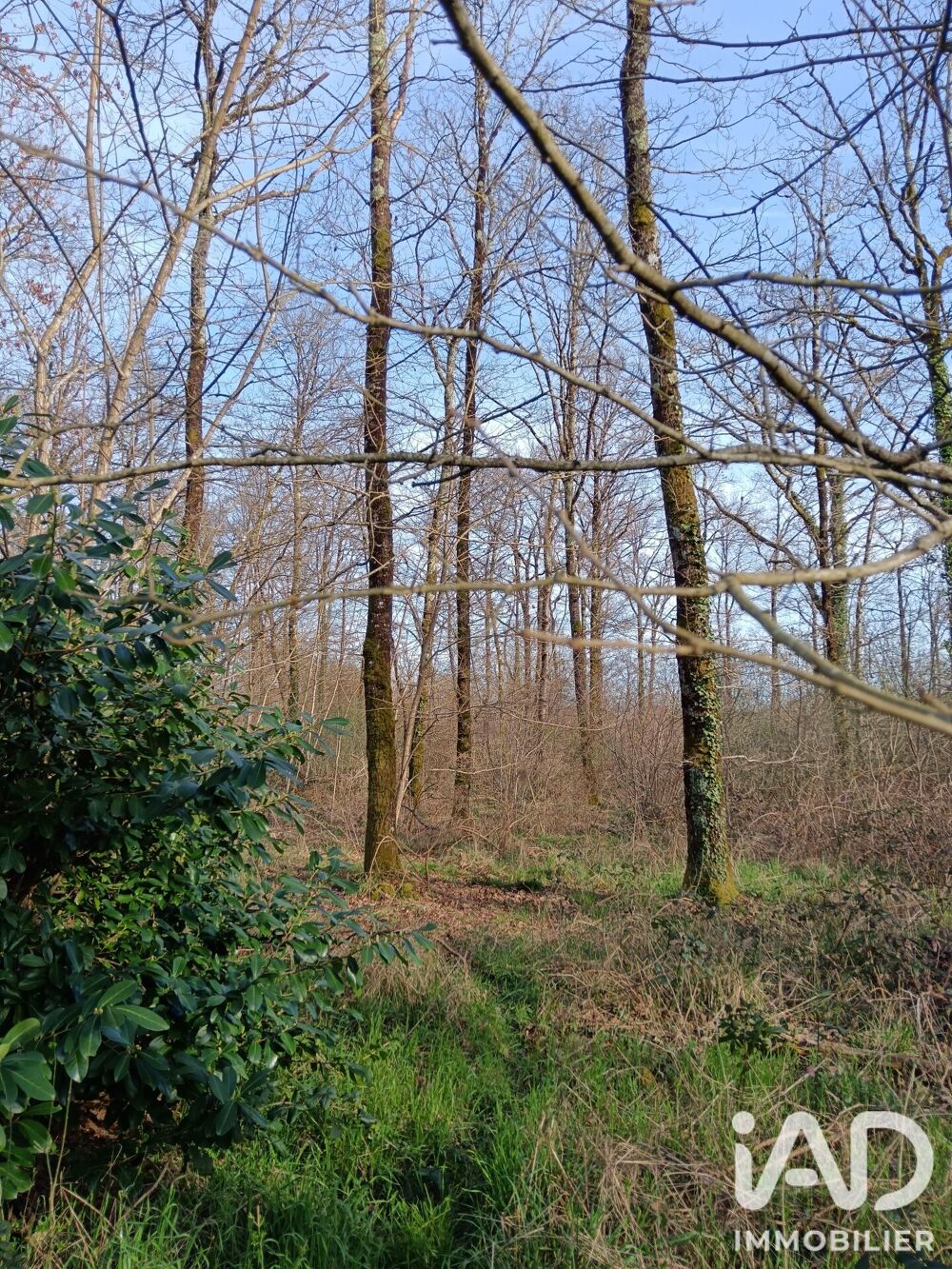 Vente Terrain Vente Terrain 24 045 m&sup2; Sainte-gemme