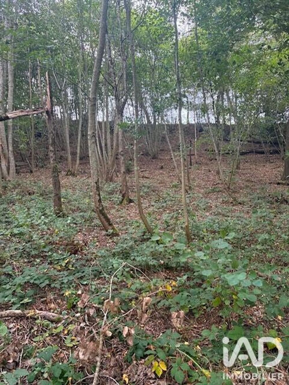 Vente Terrain Vente Surface diverse 7 705 m&sup2; La croix aux bois