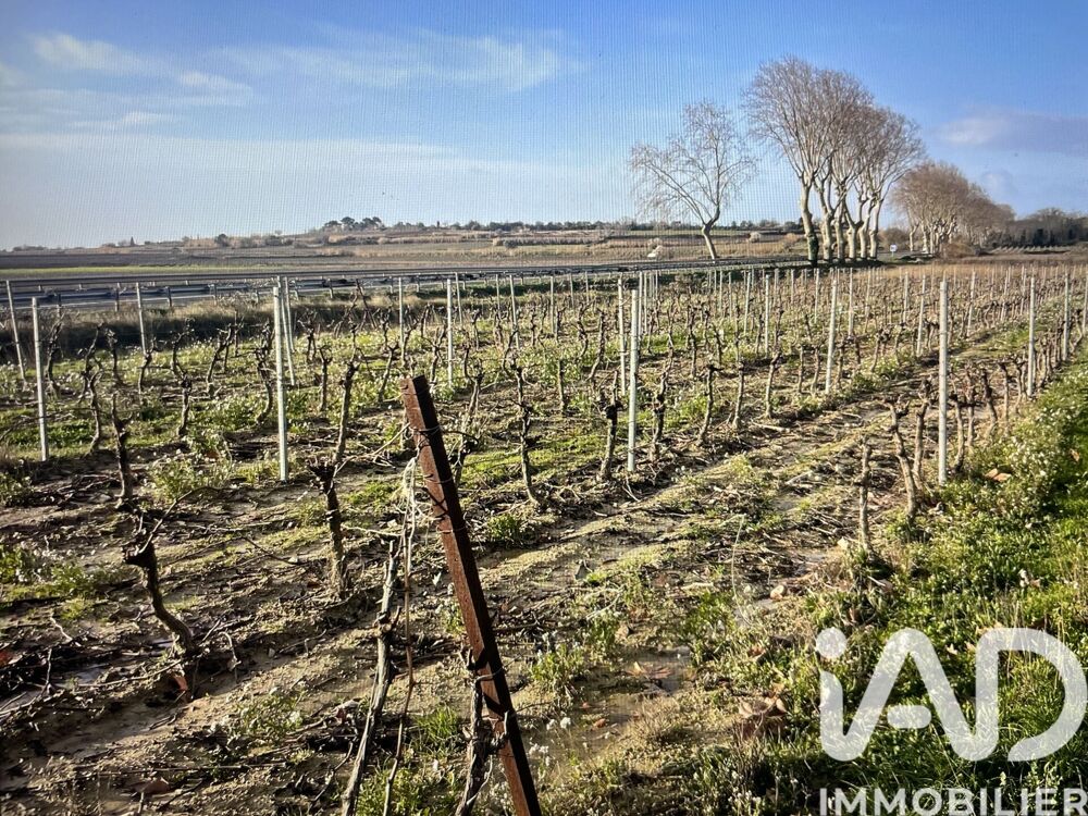 Vente Terrain Vente Terrain 41 995 m&sup2; Tourbes