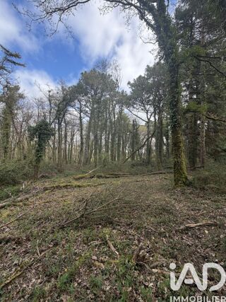  Terrain à vendre 43500 m²