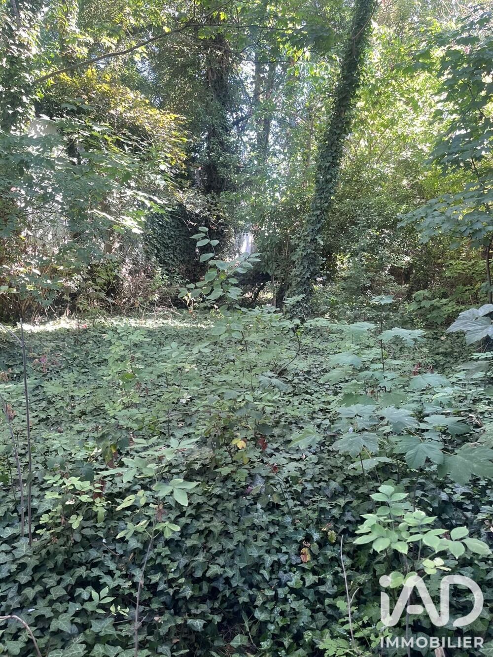 Vente Terrain Vente Terrain 170 m&sup2; Lens