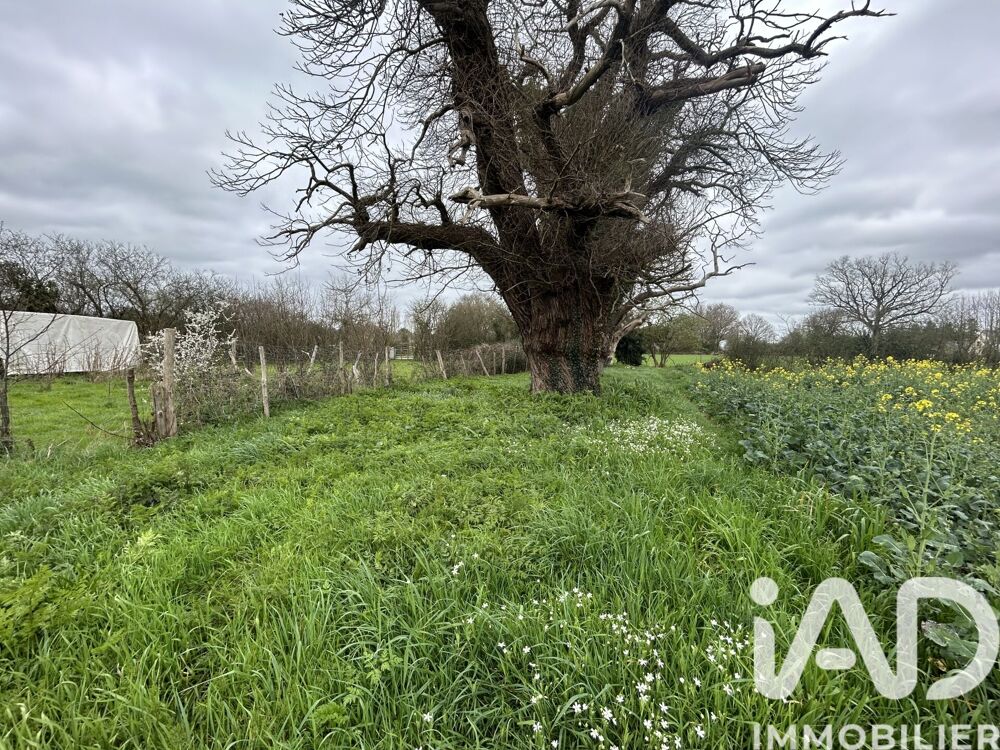 Vente Terrain Vente Terrain 600 m&sup2; Nort-sur-erdre