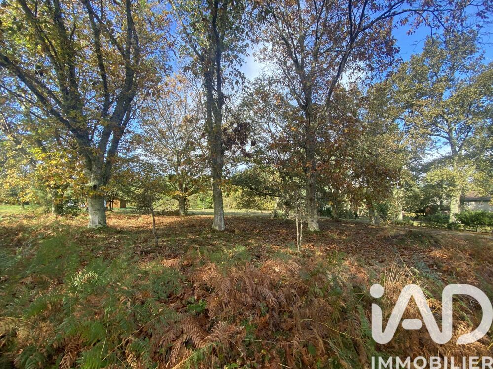 Vente Terrain Vente Terrain 3 893 m&sup2; Mezos