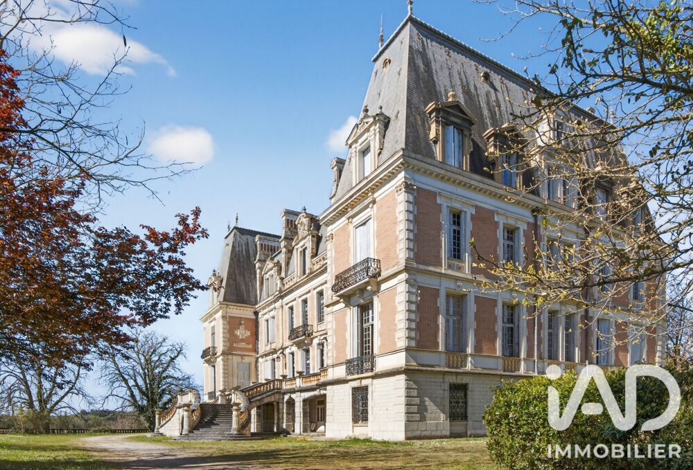 Vente Château 40 pièces