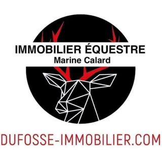  Maison  vendre 15 + pices 700 m