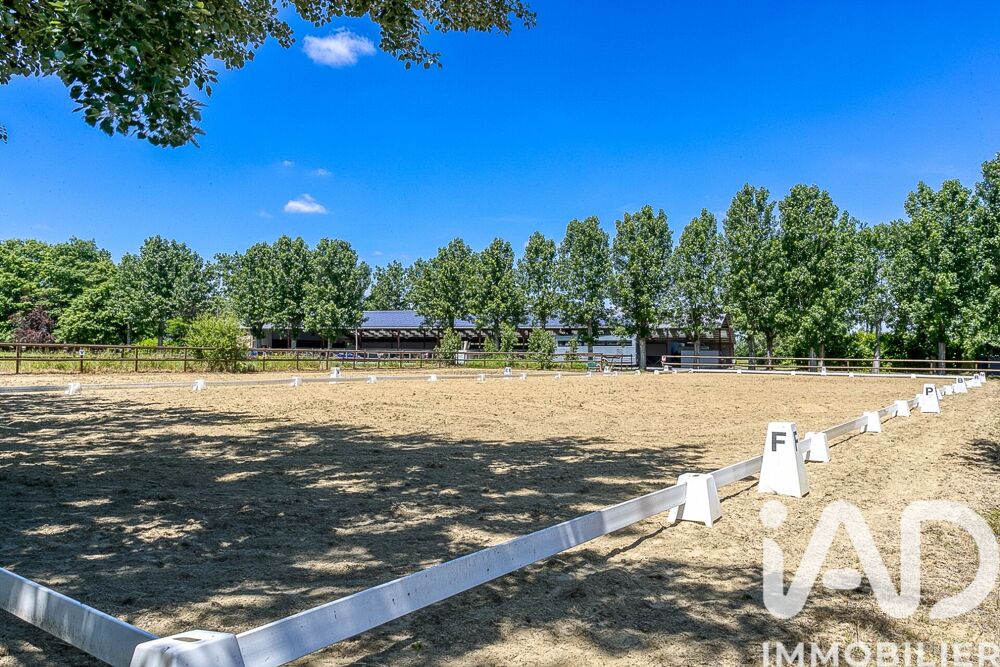 à vendre  Maison Rabastens-de-Bigorre (65140)