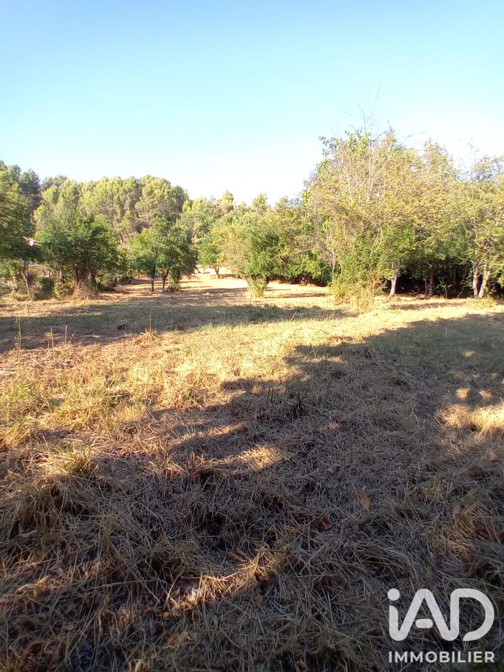 Vente Terrain Vente Terrain à bâtir 3 230 m&sup2; Buis-les-baronnies