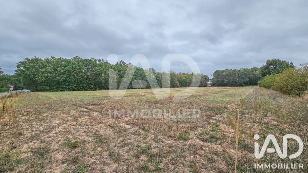 Vente Terrain Vente Terrain 60 000 m&sup2; Chailly