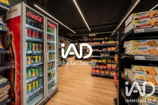  Immeuble à vendre 379 m²