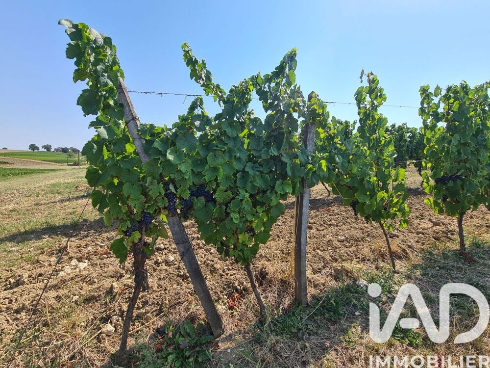 Vente Terrain Vente Terrain agricole 20 497 m&sup2; Saussignac