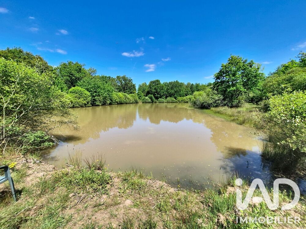à vendre  Maison Gien (45500)