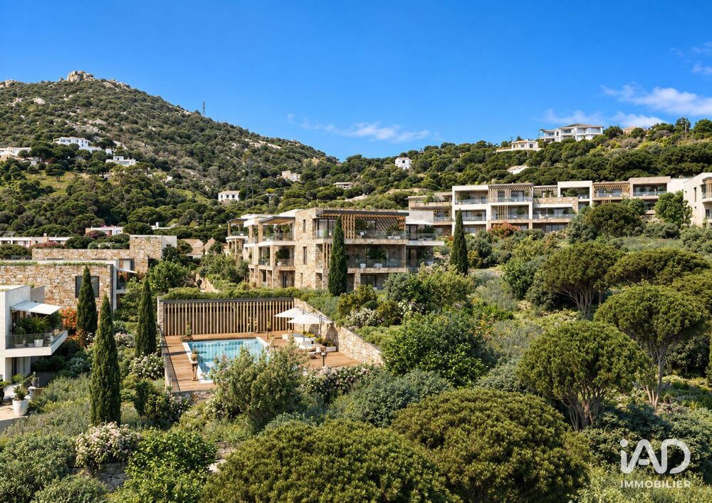 Vente Appartement Vente Appartement 3 pièces Calvi