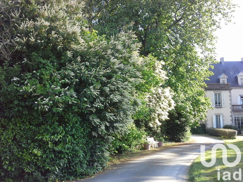Vente Château 12 pièces