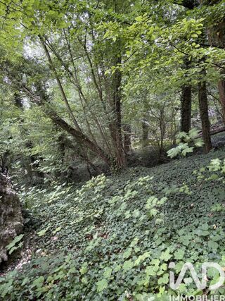  Terrain à vendre 10604 m²