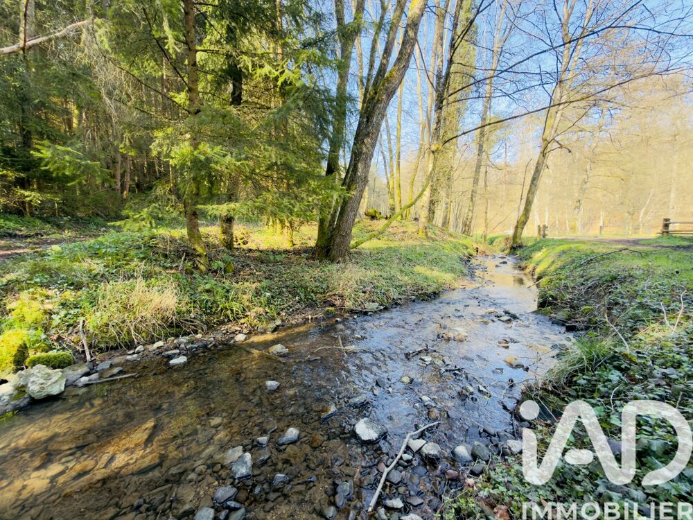 Vente Terrain Vente Terrain 4 591 m&sup2; Durstel