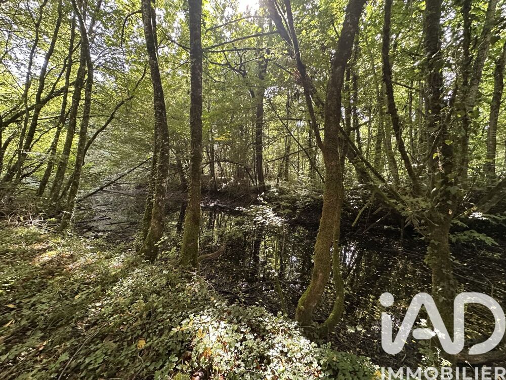 Vente Terrain Vente Terrain agricole 11 070 m&sup2; Massay