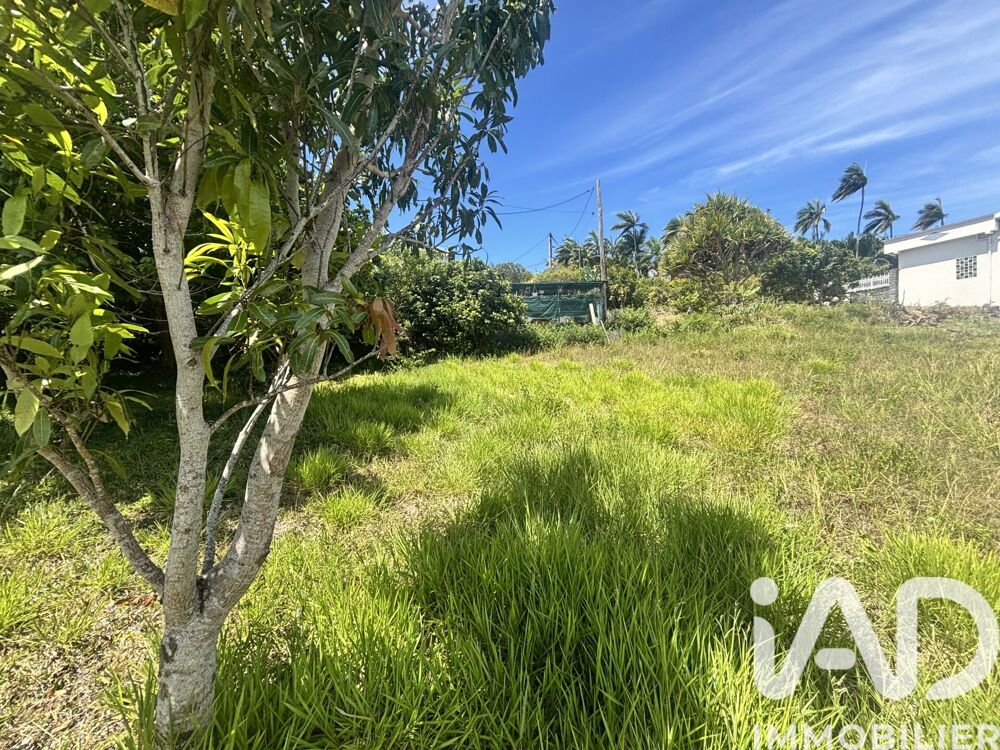 Vente Terrain Vente Terrain à bâtir 1 000 m&sup2; Saint-pierre