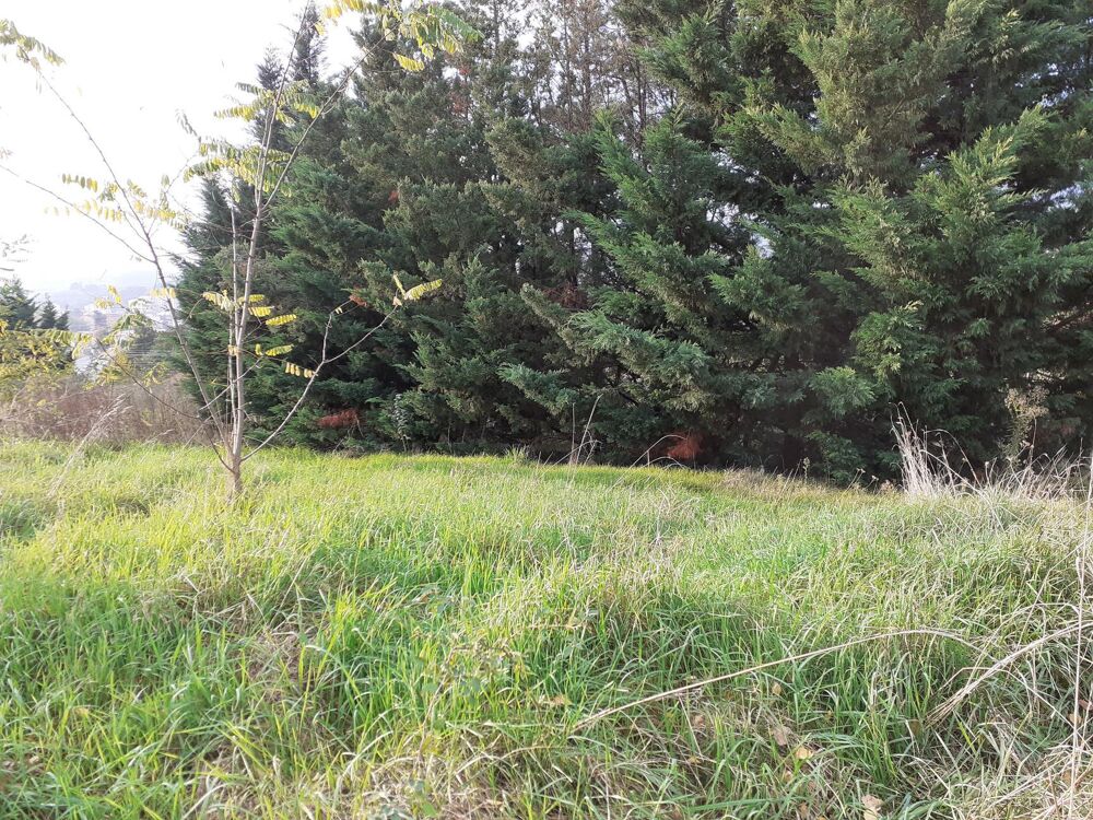 vente Terrain - 832 m² Saint-Chamond (42400)