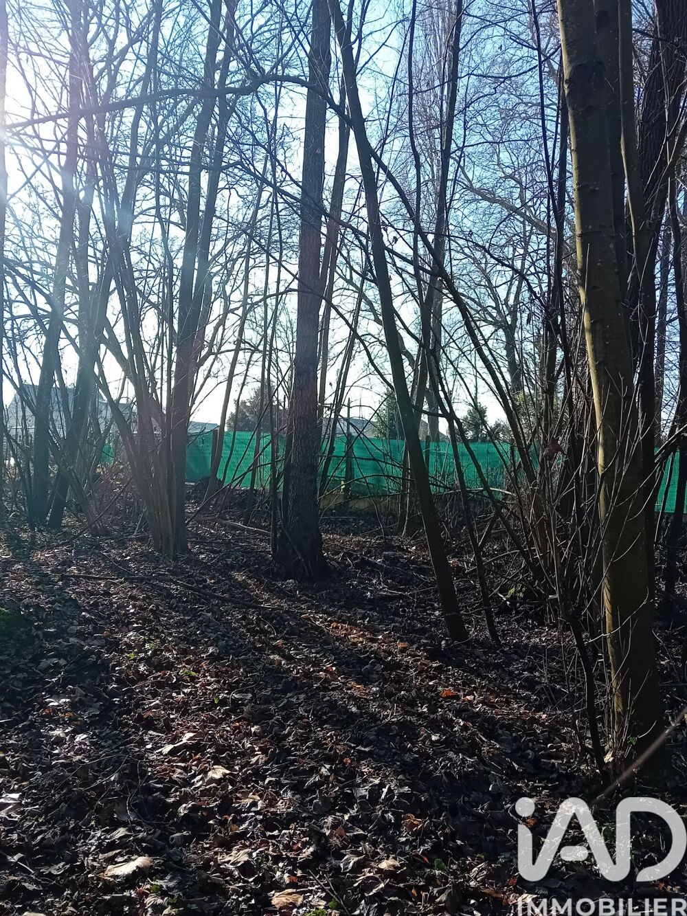 Vente Terrain Vente Terrain 10 555 m&sup2; Châlette-sur-loing