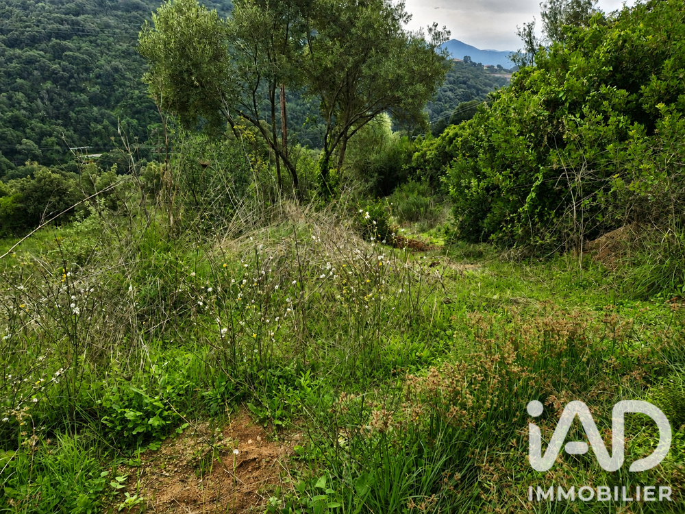 vente Terrain - 14741 m² Ocana (20117)