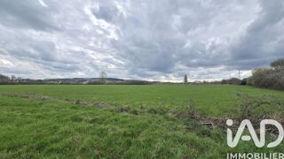  Terrain à vendre 61370 m²