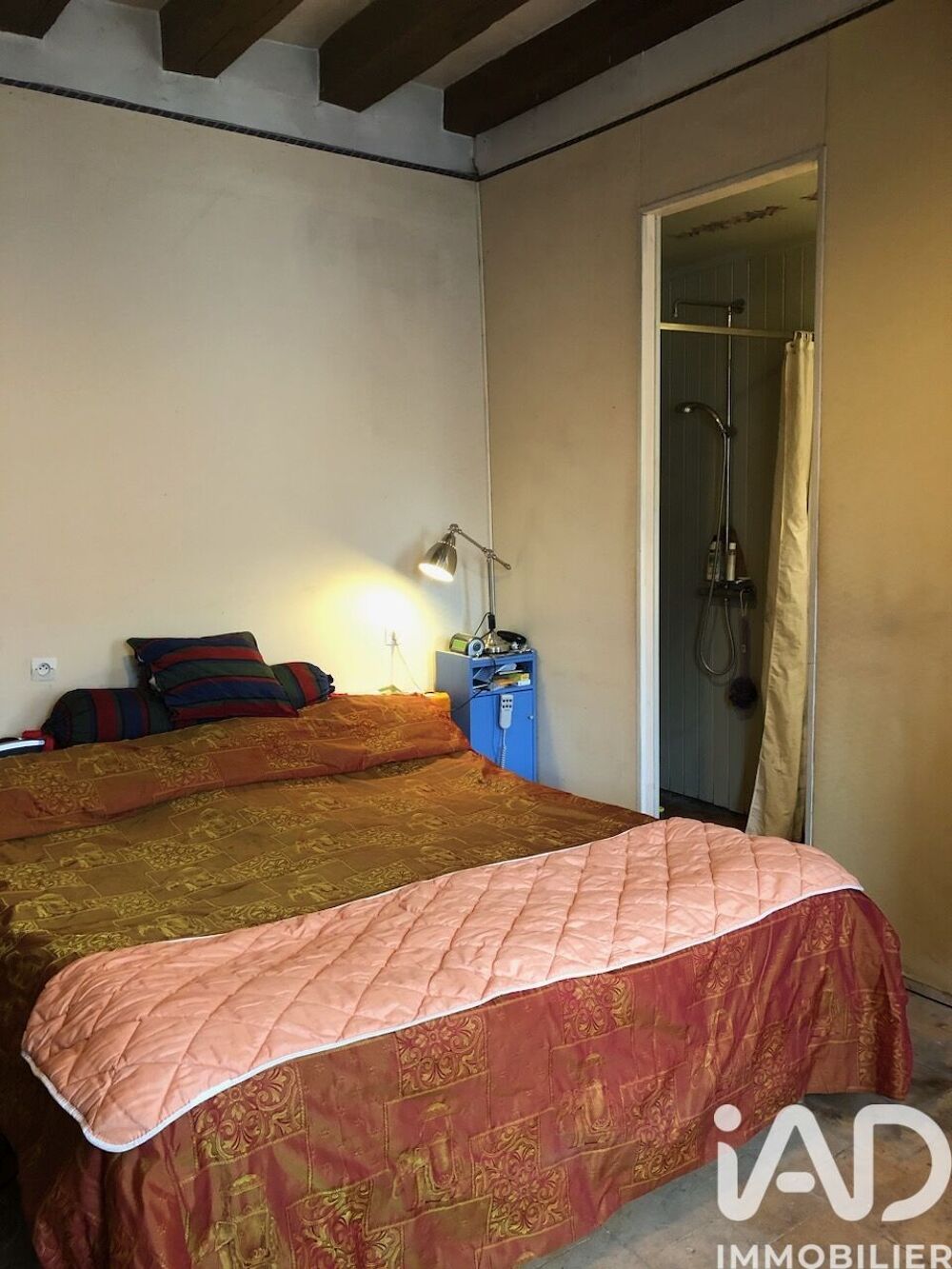 � vendre  Maison Neuill�-le-Lierre (37380)