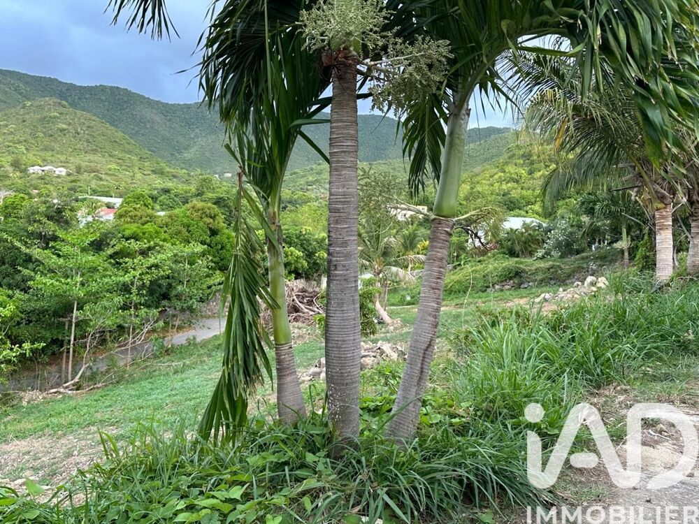 Vente Terrain Vente Terrain à bâtir 2 000 m&sup2; Saint martin