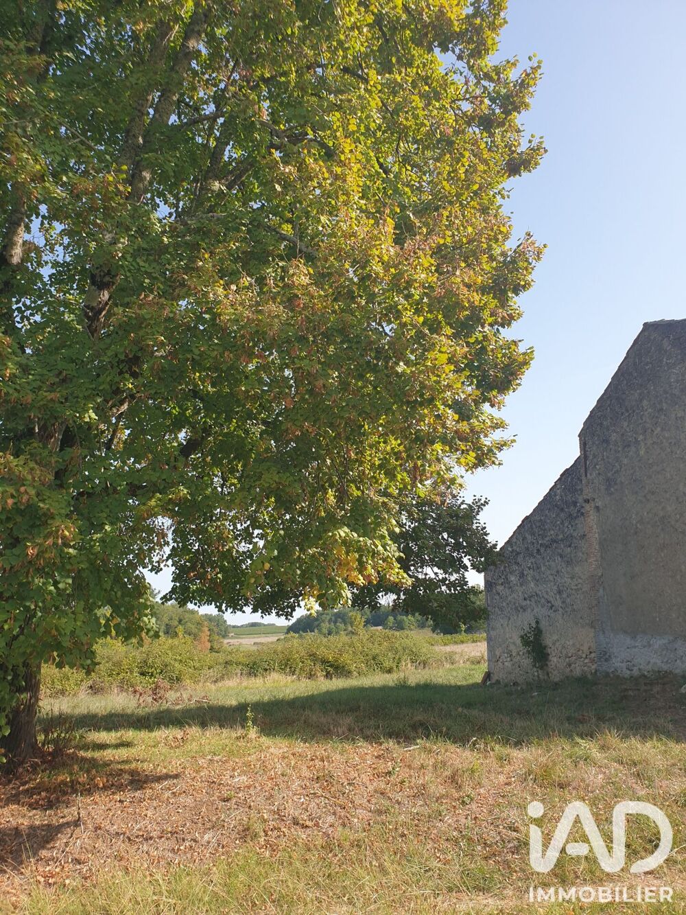 Vente Maison Vente Grange 8 pièces Buzet sur baise