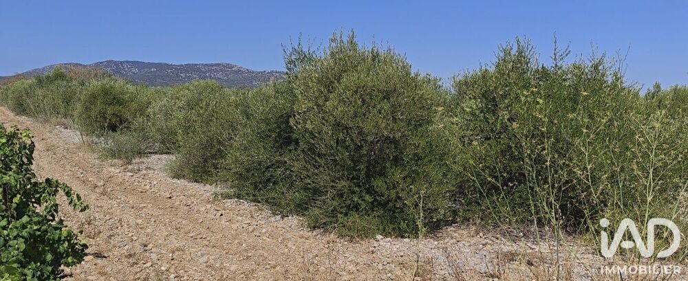 Vente Terrain Vente Terrain agricole 3 315 m&sup2; La palme