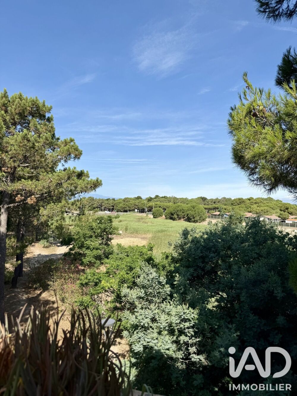 Vente Appartement Vente Appartement 2 pièces Argelès-sur-mer