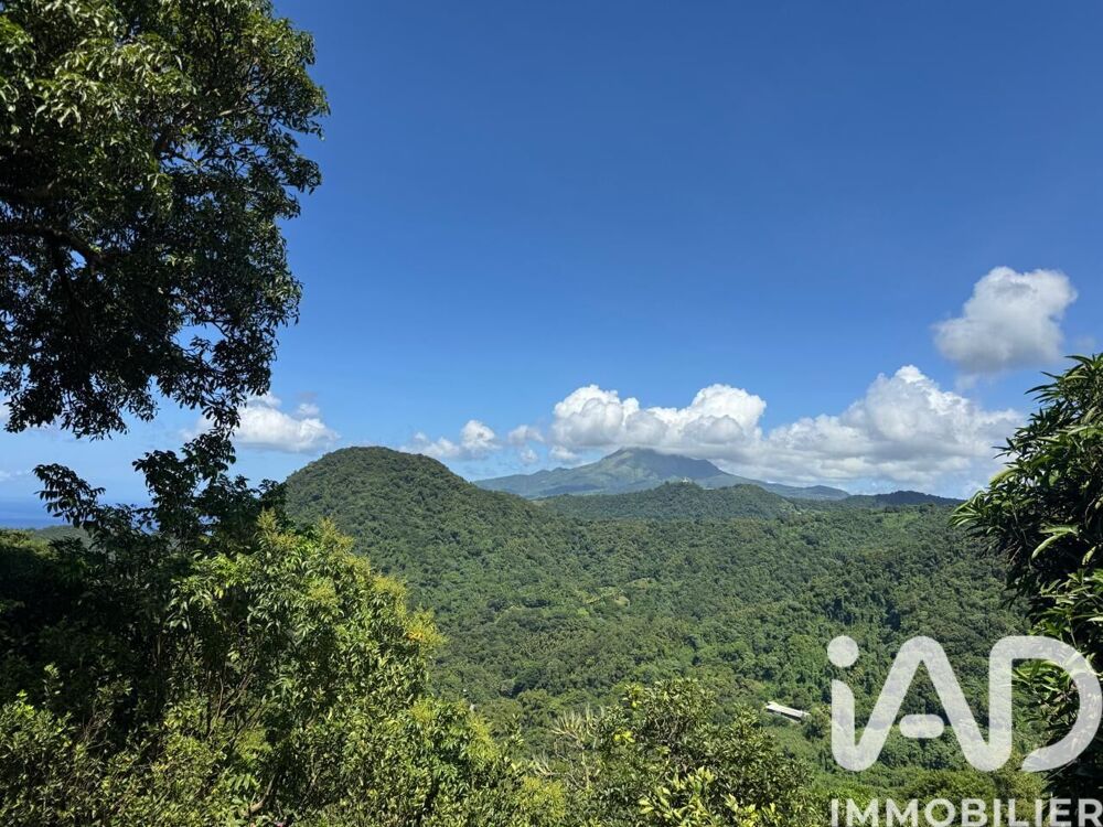 Vente Maison Vente Maison d'architecte 3 pièces Le morne-vert