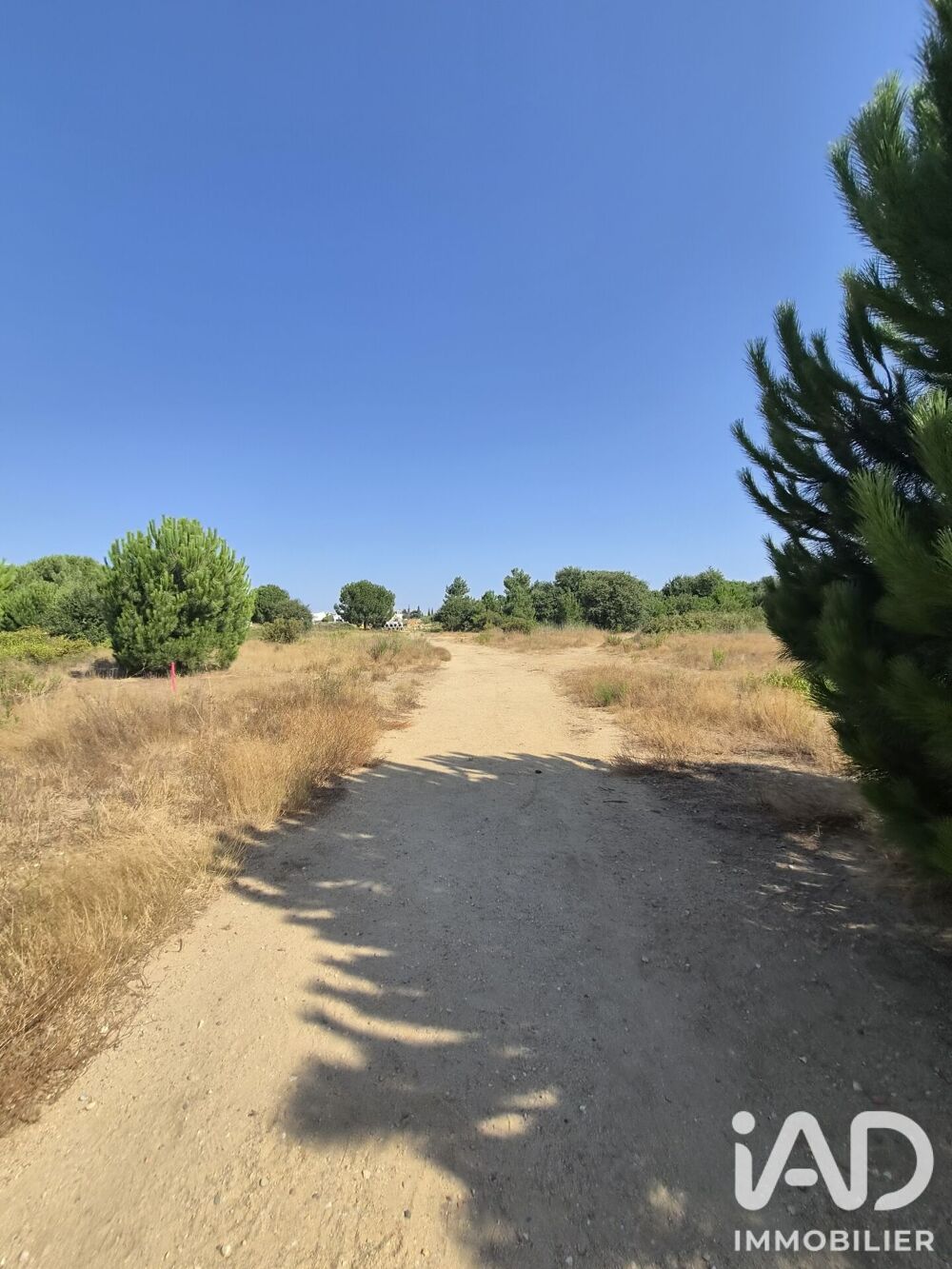 Vente Terrain Vente Terrain 505 m&sup2; Latour-bas-elne